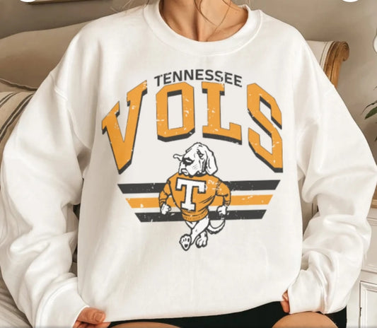 Vintage retro College football sweatshirts / t shirts